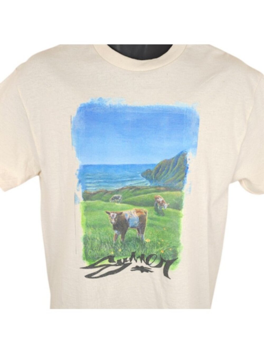 Coastal Cows T Shirt Mens Size Medium Cream Farm Animals On The Beach